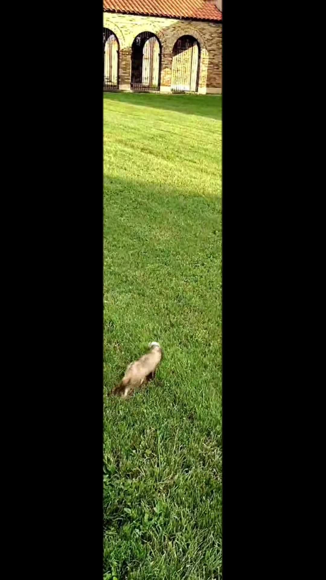 @NinaDee13