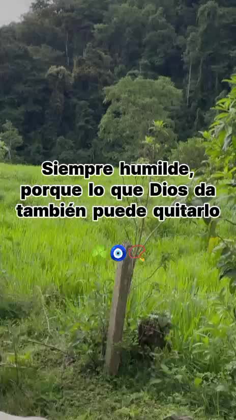@El bailar&iacute;n nica🇳🇮🐄