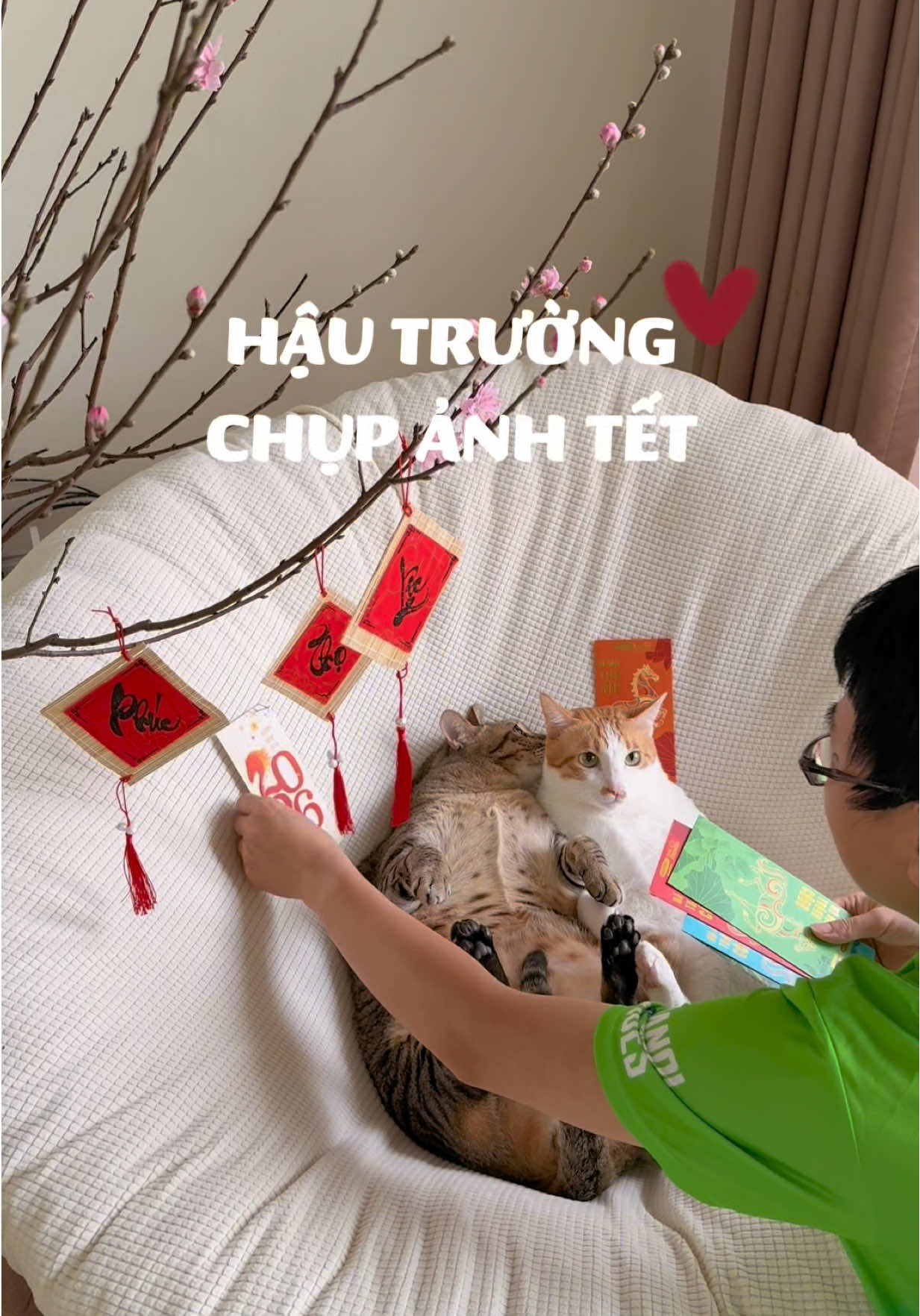 @Gia&ensp;Đ&igrave;nh&ensp;C&aacute;&ensp;Cua