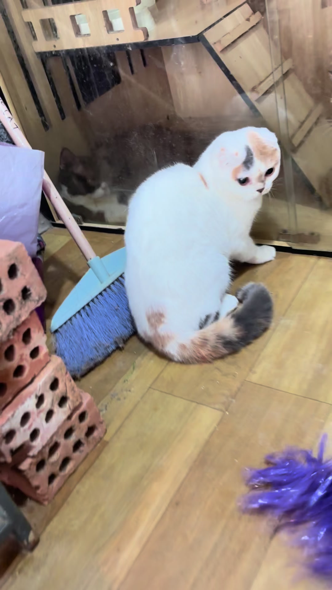 @Luskyocat