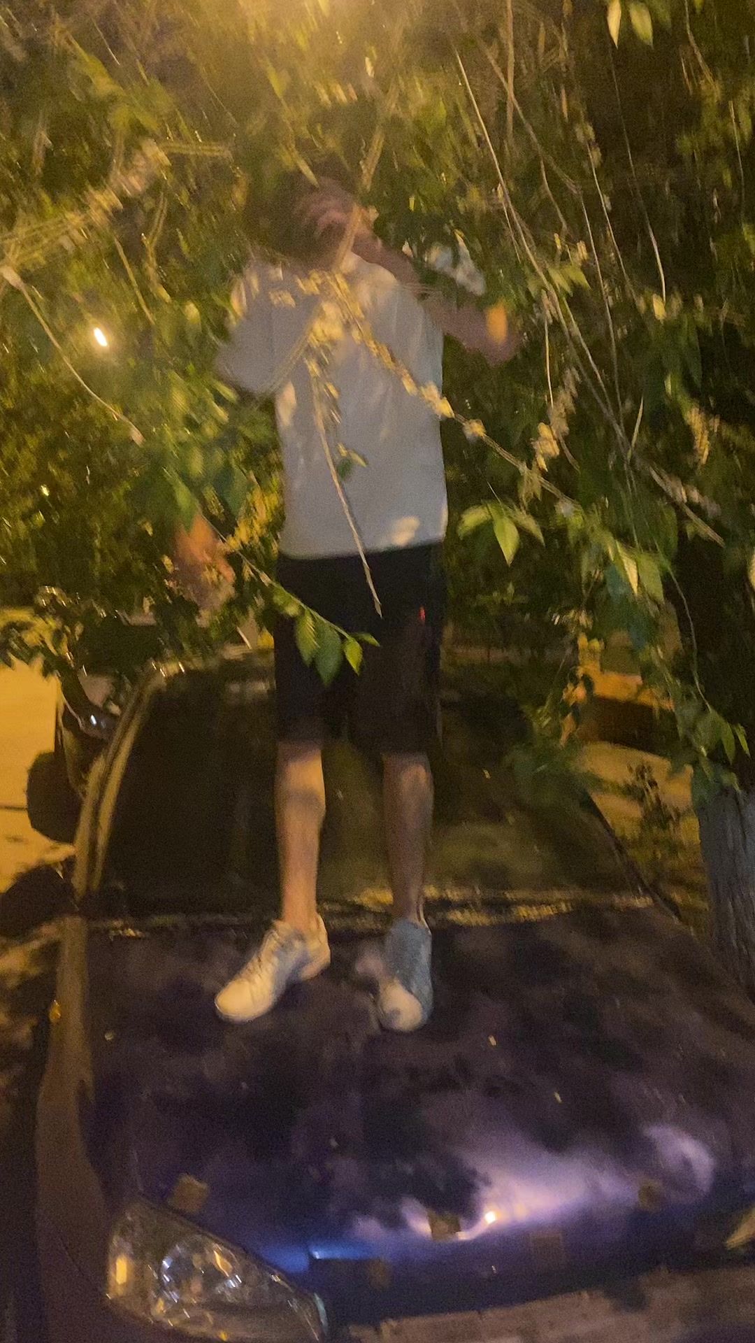 @💸костил⚜️