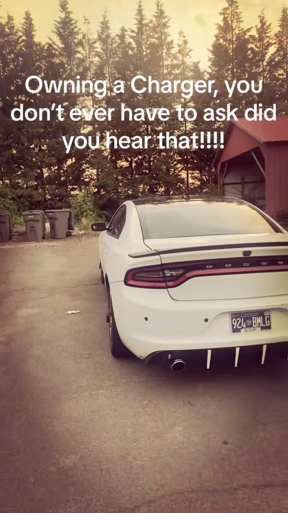 @Greenbackmafia