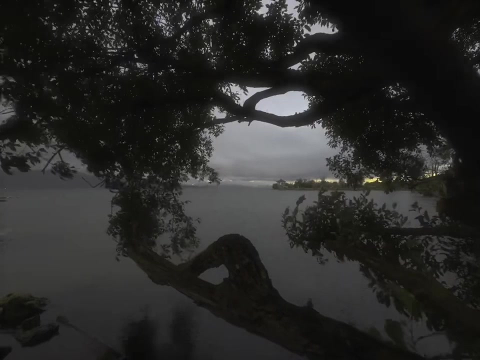 @Nakamori