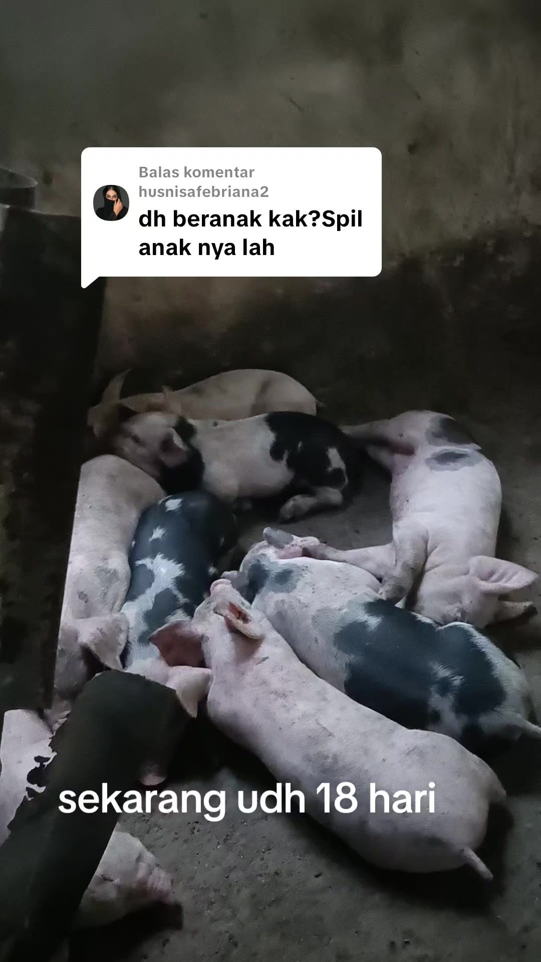 @mama Brigita