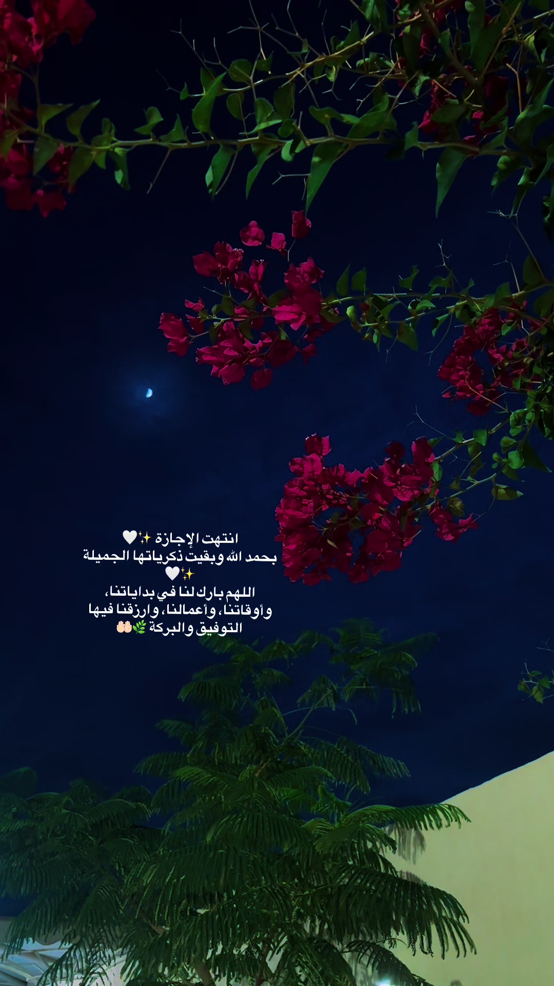 @Om hisham