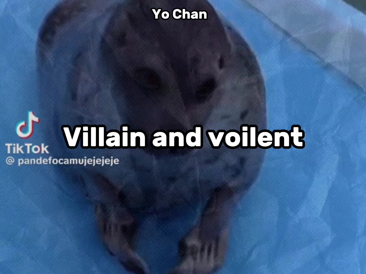 @BaikalSealHugger