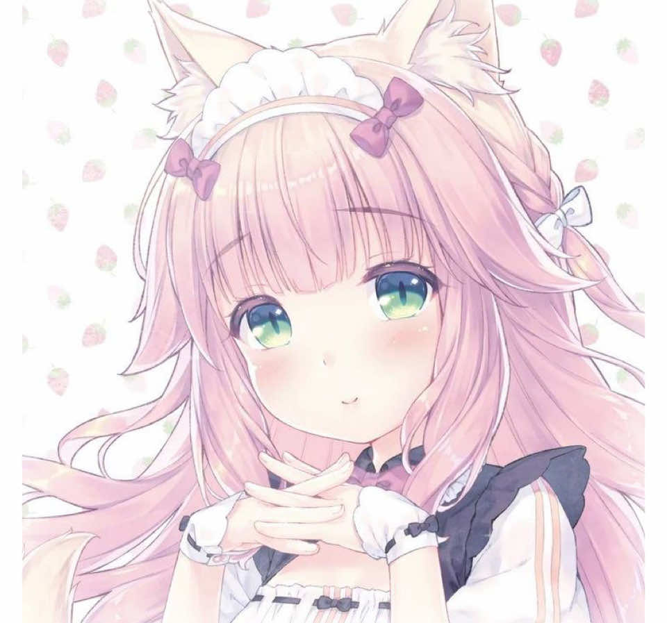 @猫 ෆ