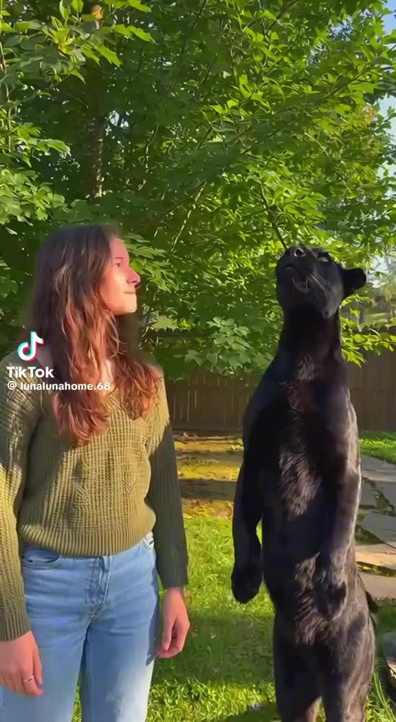 @blancapavon575
