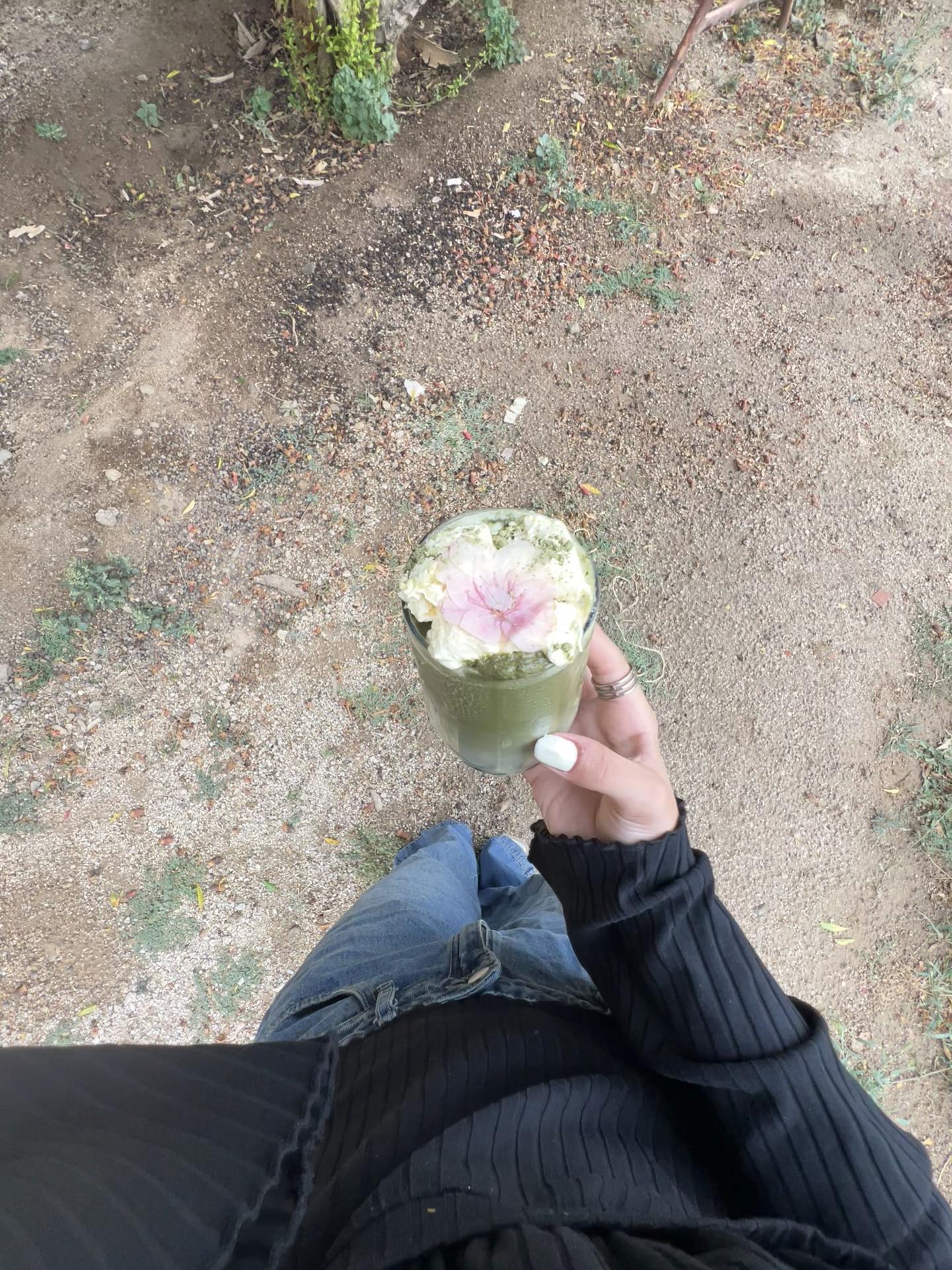 @rr🌴