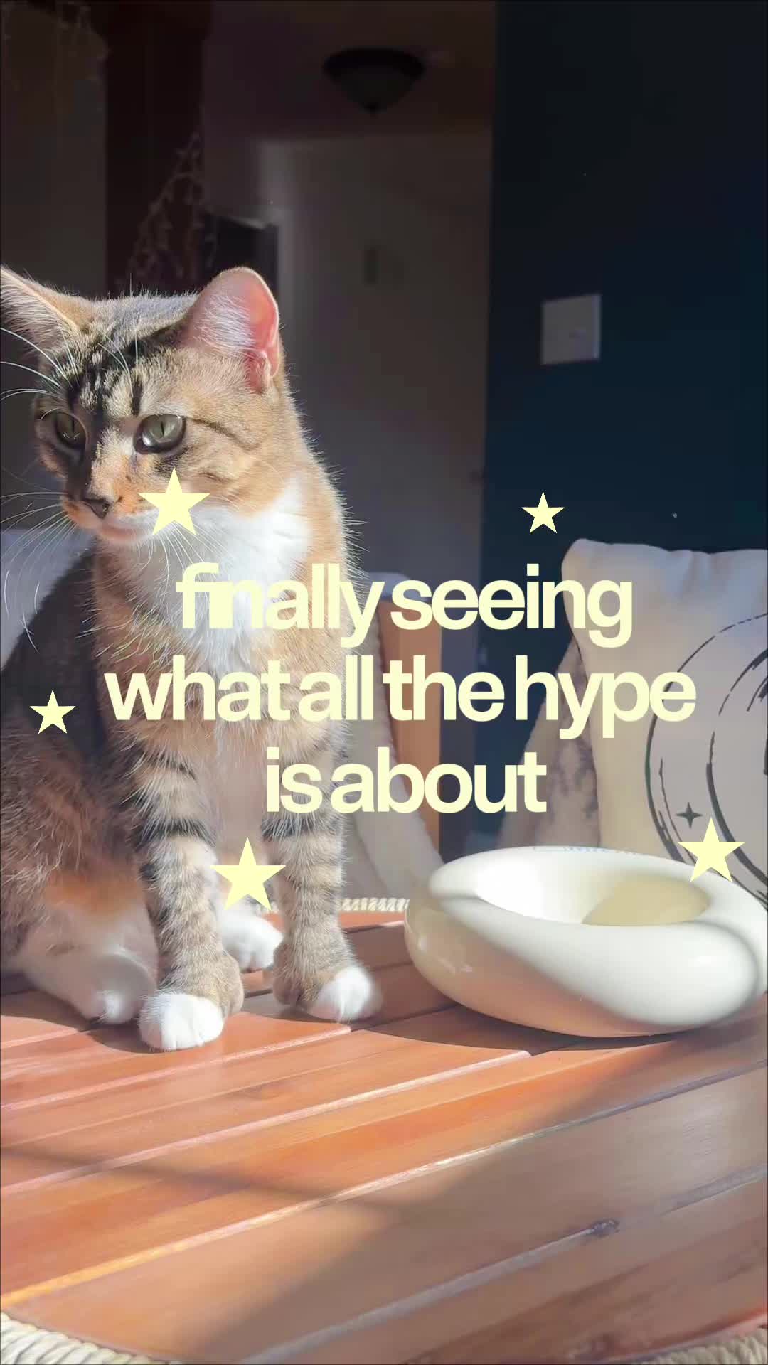 @Juno 💫🐈