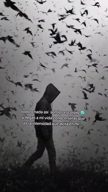@Mary frases ❤️🩹
