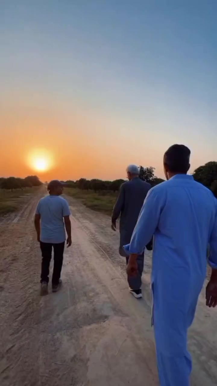 @Jahangir Khan Tareen✅