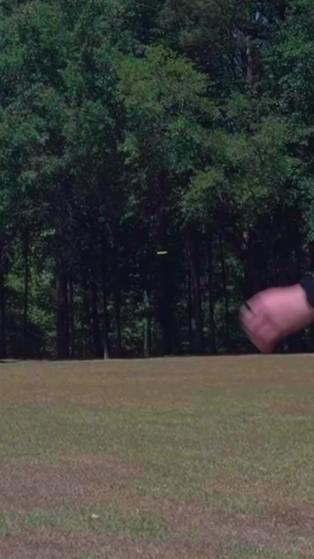 @ursa disc golf