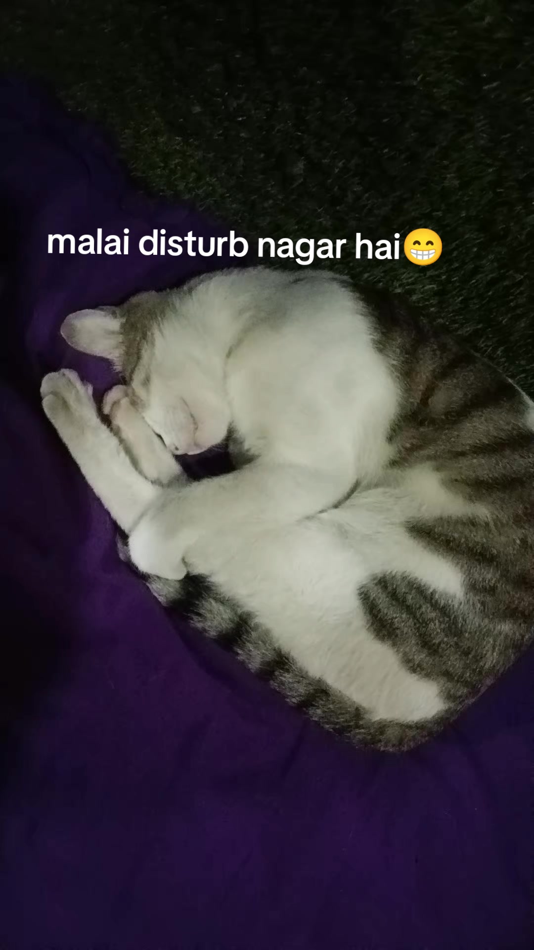 @रुद्रांशी