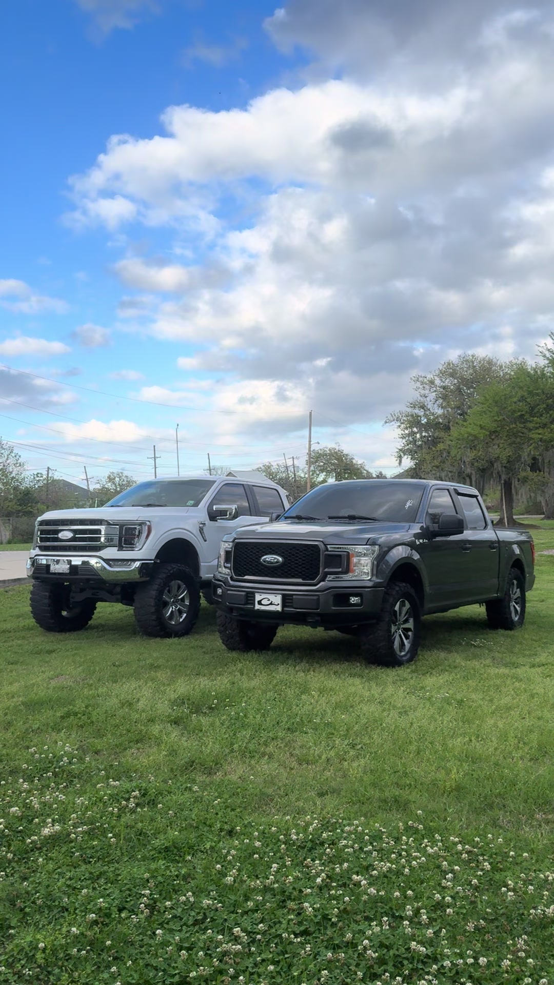 @f150dbeau