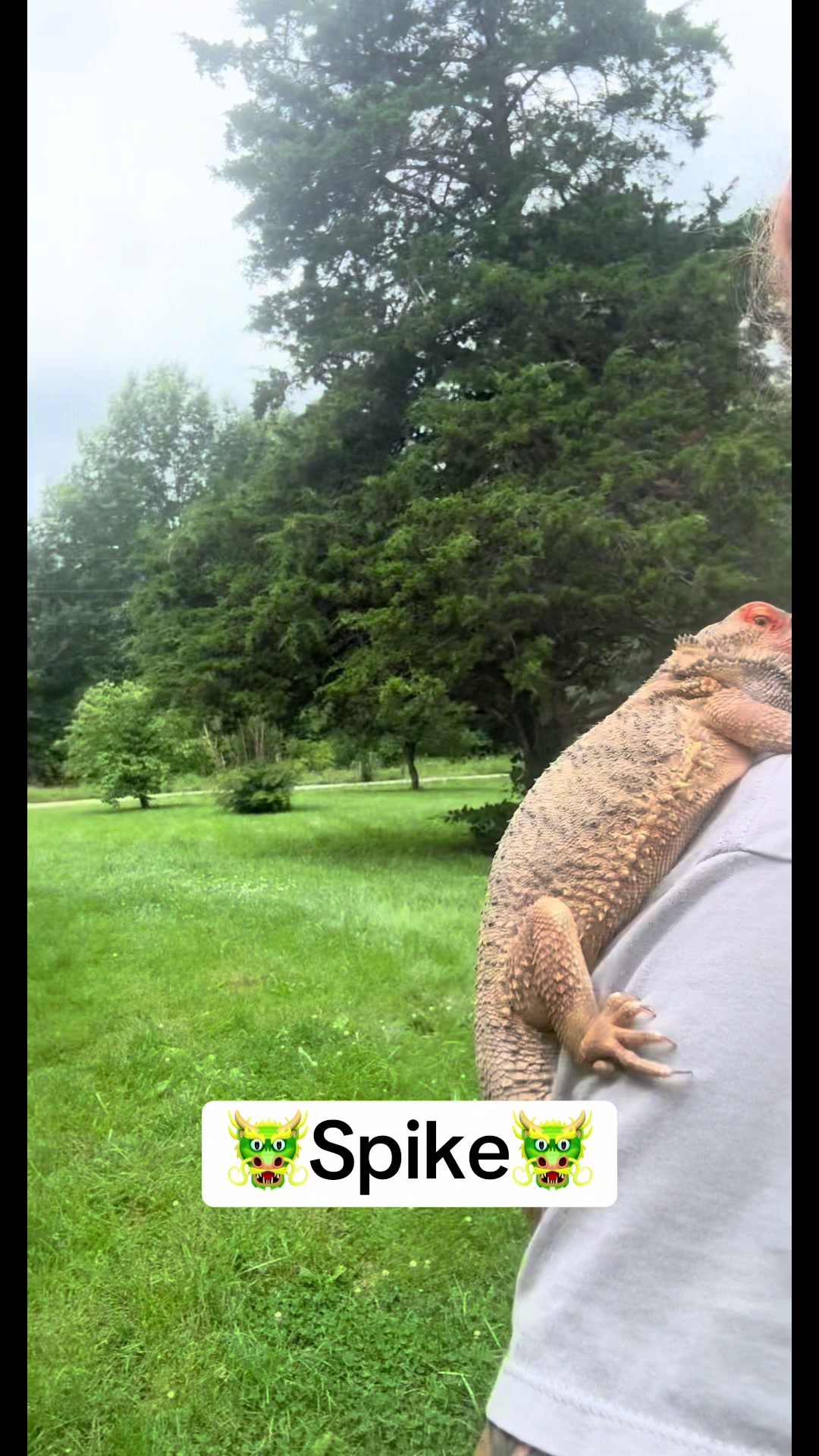 @merrickfarmstead