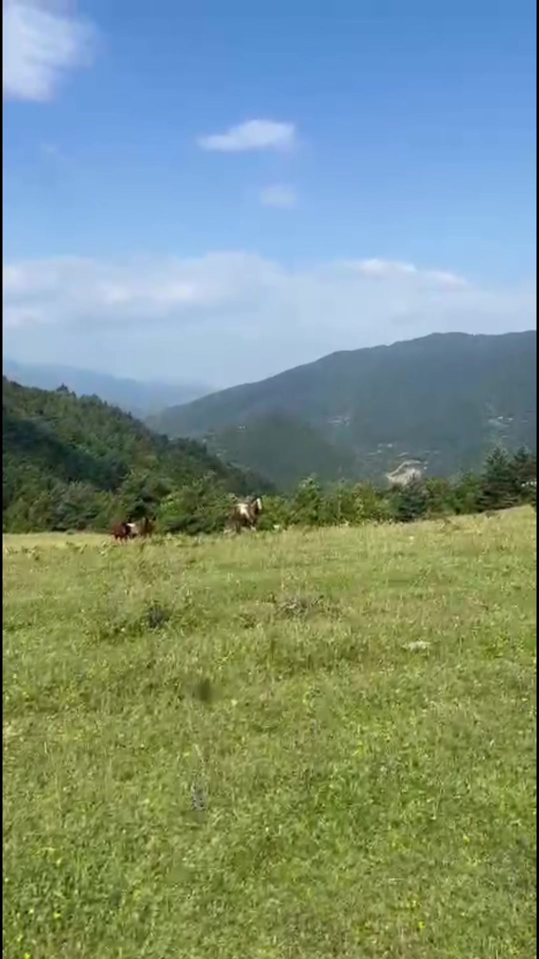 @BuKa Tikanashvili 🇬🇪