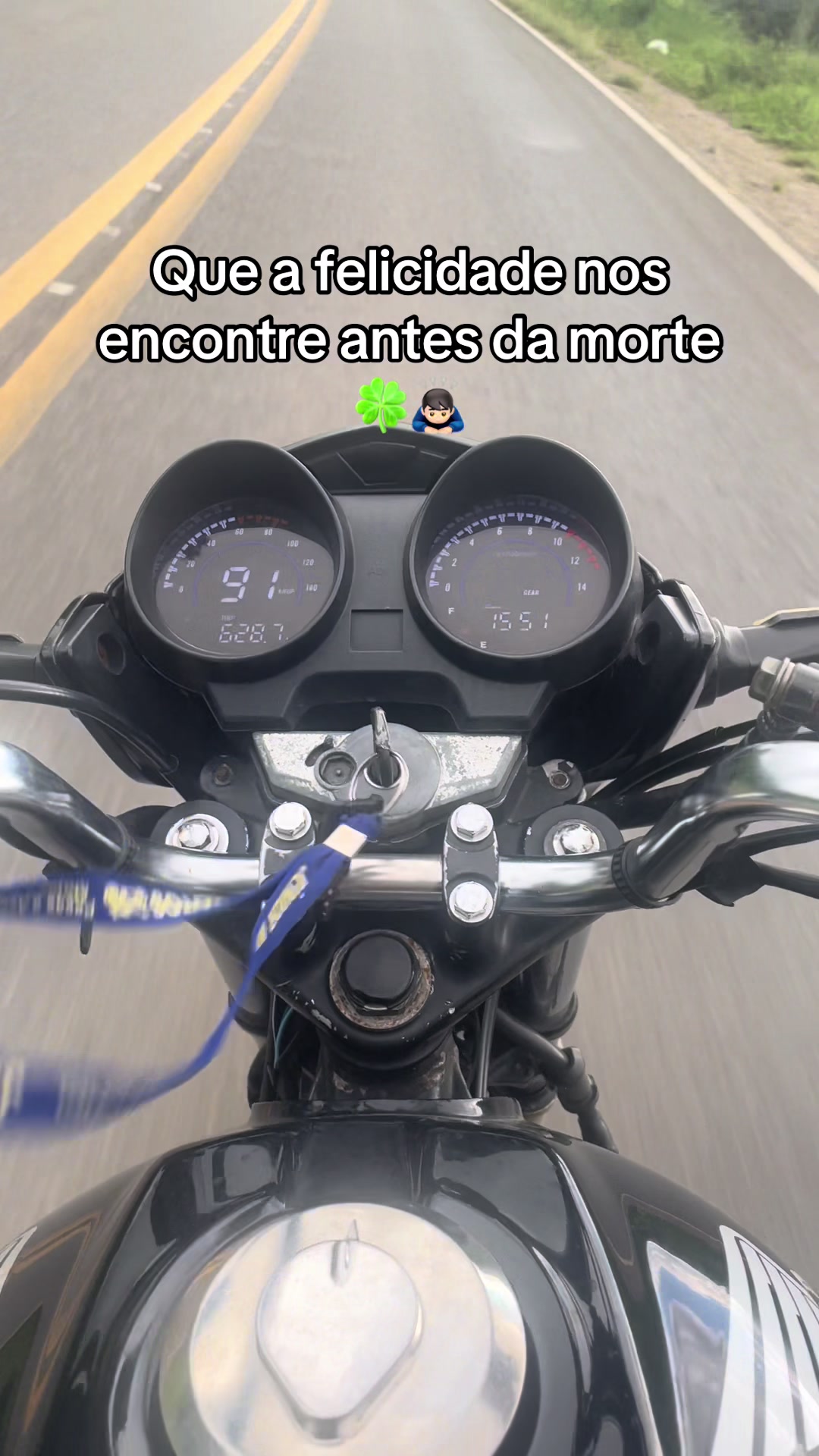 @Roberto Rocha