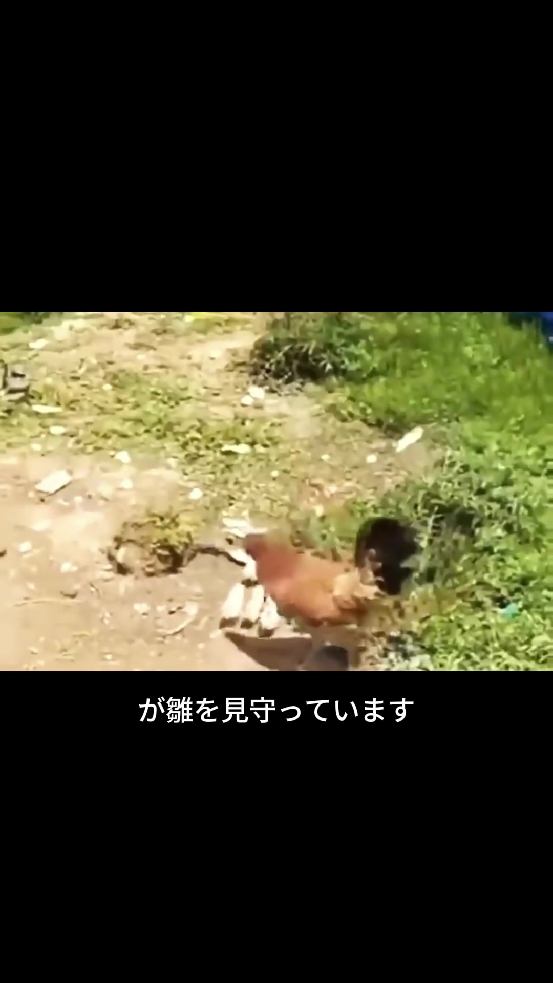 @斎藤アウトドア