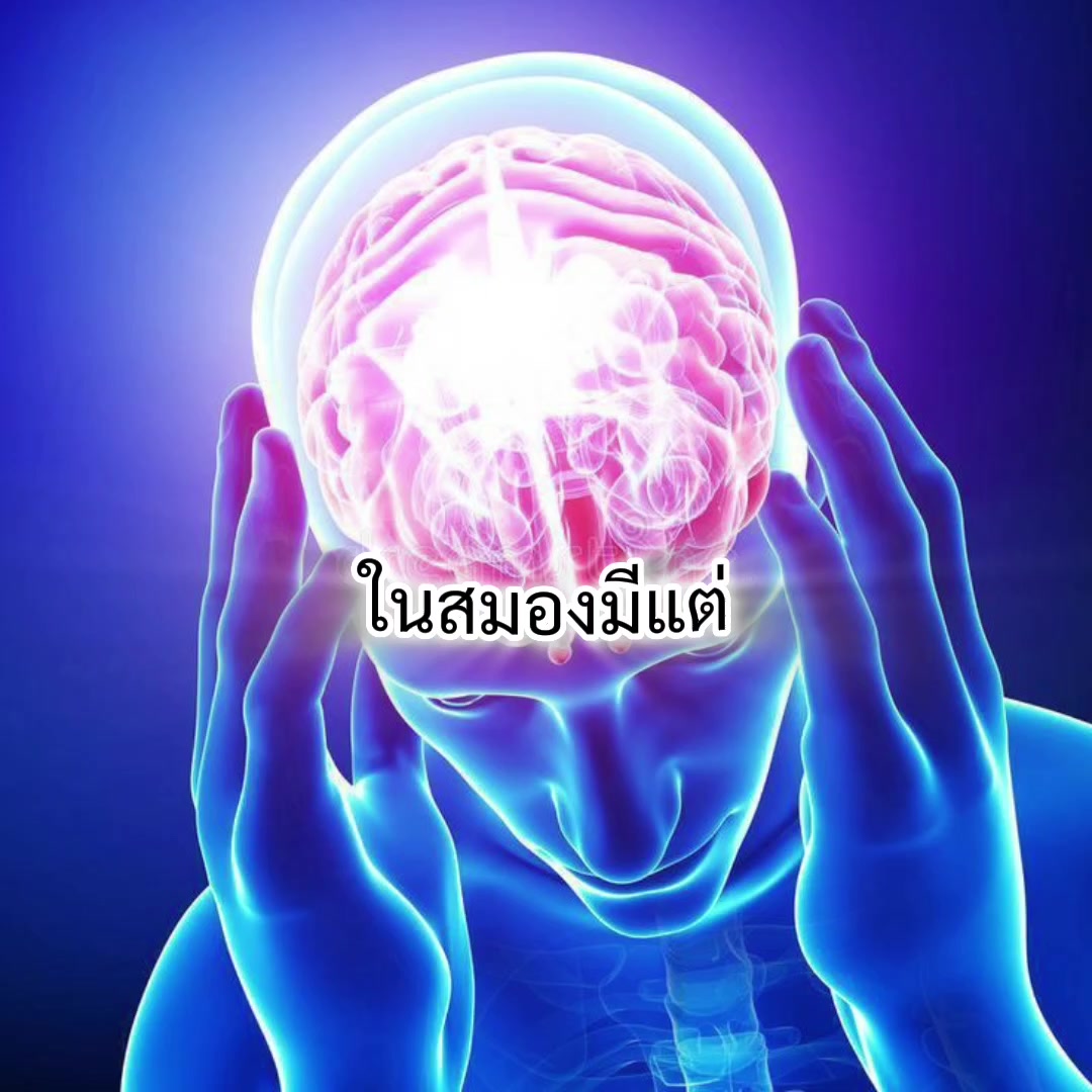 @ครัวเจ้เนย อินดี้