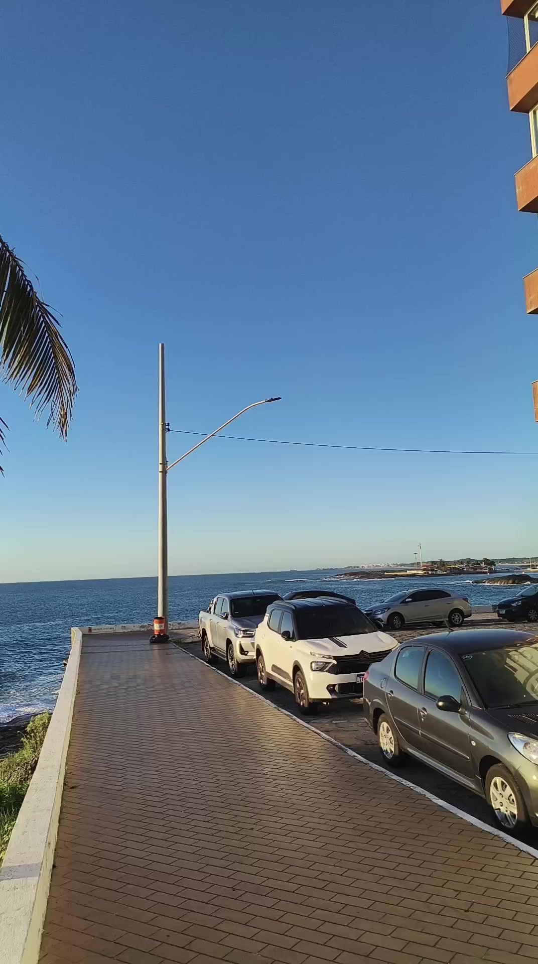 @J&uacute;nior 🇧🇷