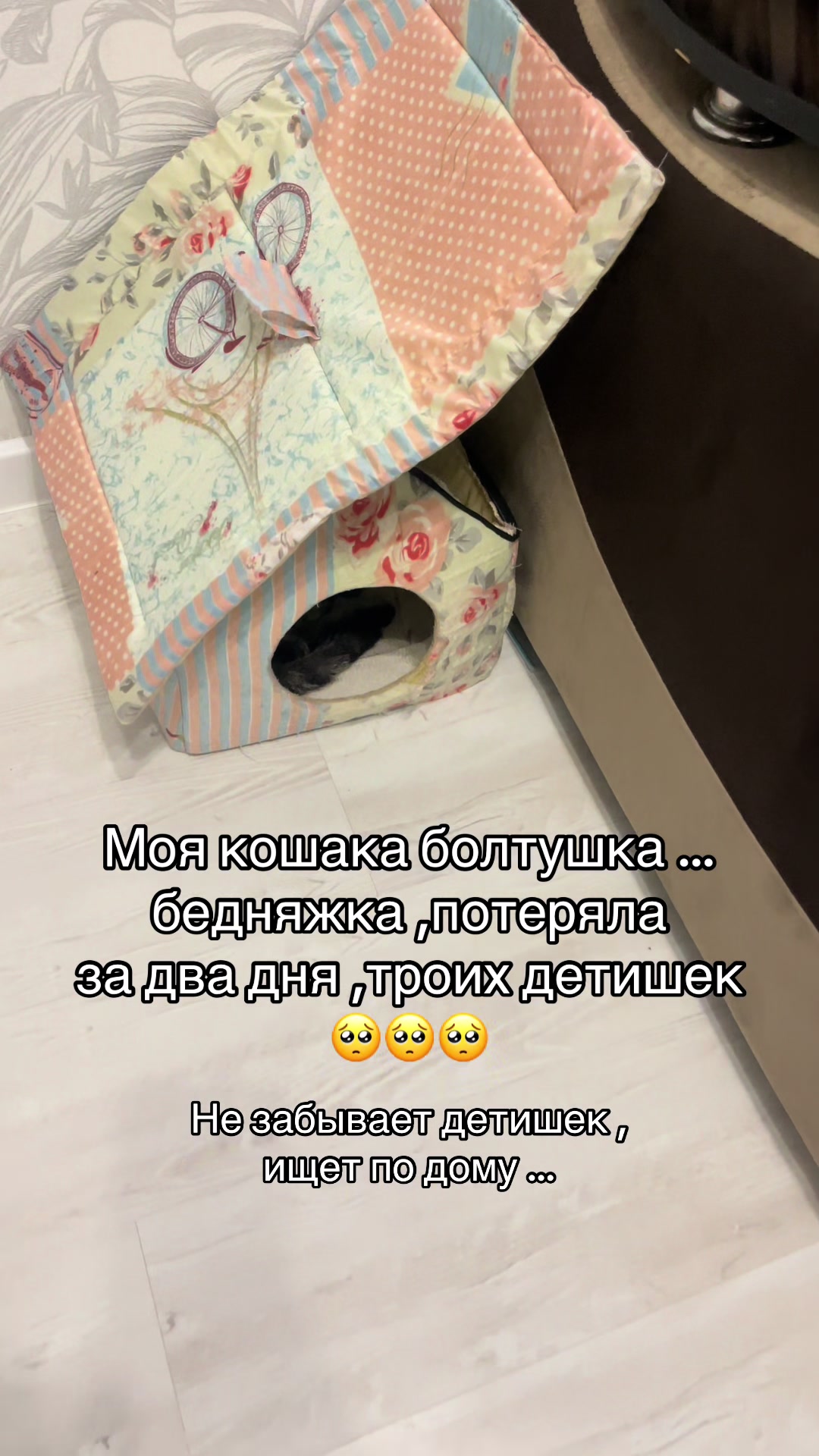 @🐯ТИГРИЦА 🐯