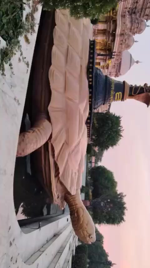 @Shobha Dev