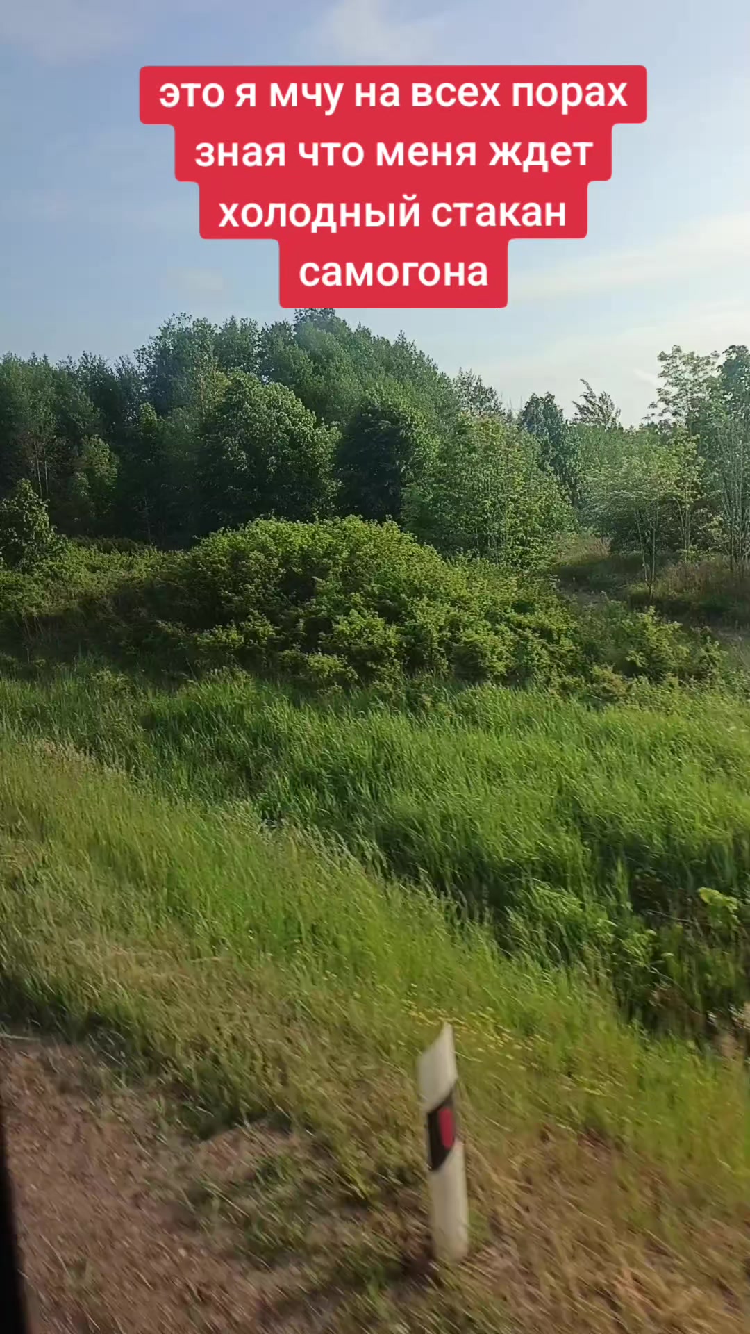 @mlika111 юлия