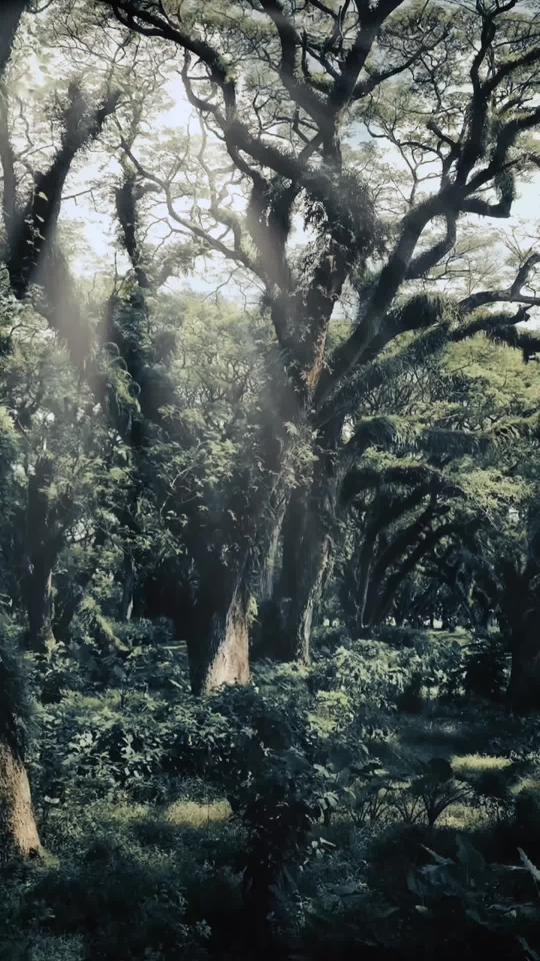 @R̷e̷s̷n̷u̷ ̷S̷u̷k̷m̷a̷