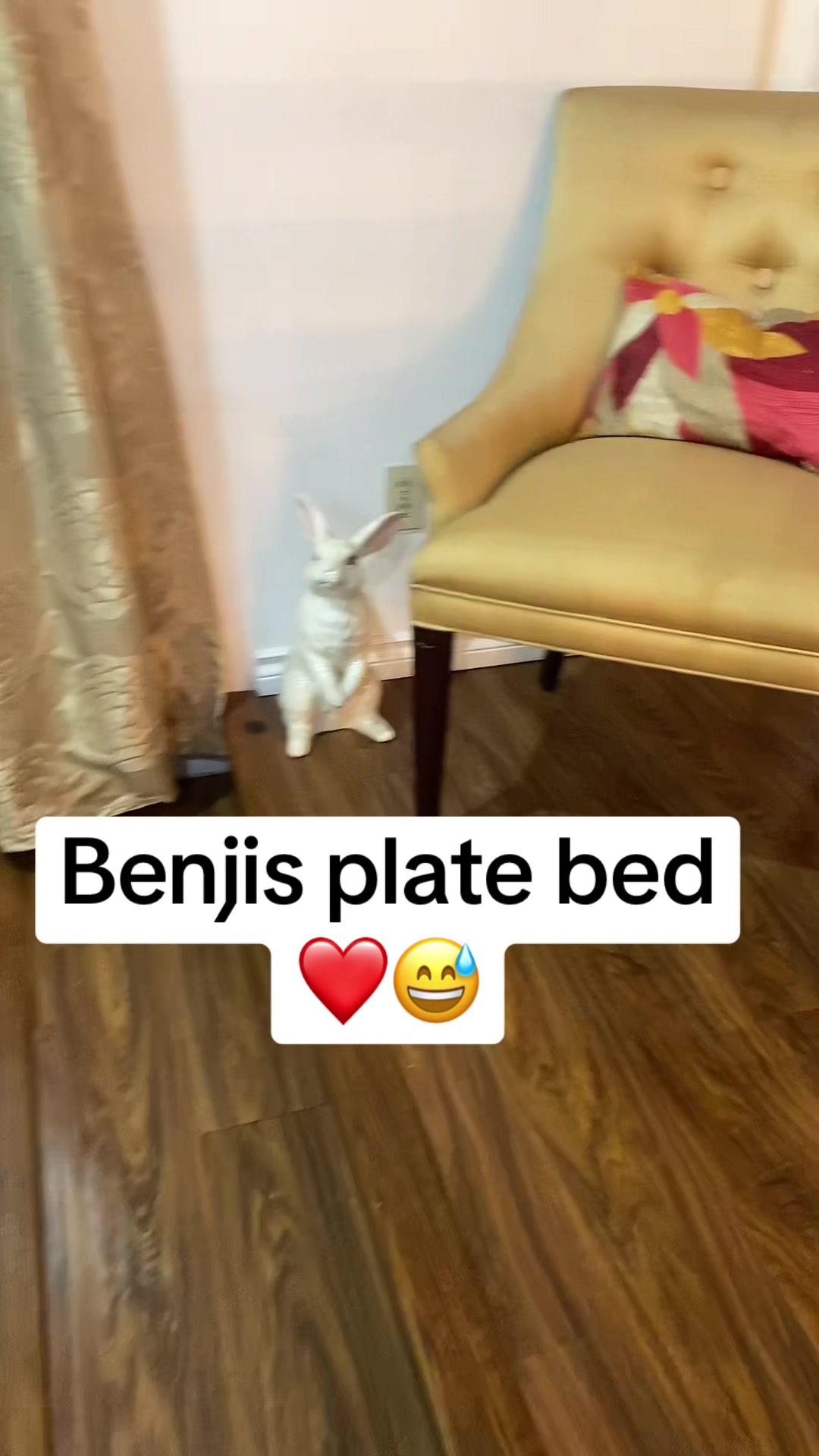 @Shonahai