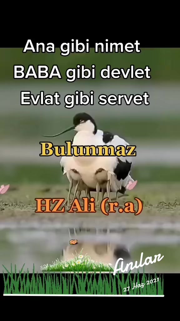 @Arzu safiye