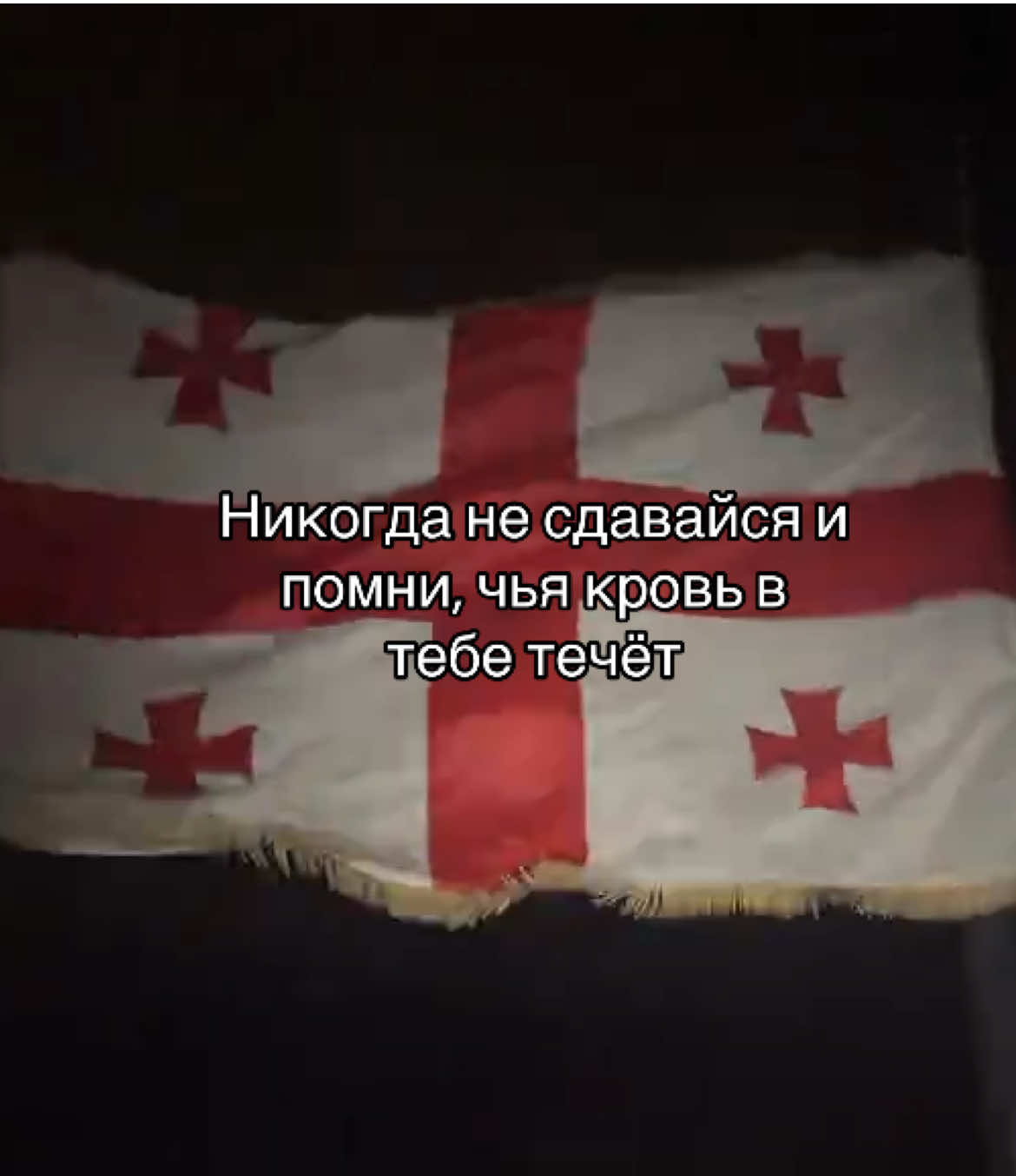 @𝒊𝒍𝒐𝒏𝒂 🇬🇪