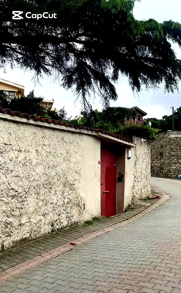 @Aynura Məmmədova