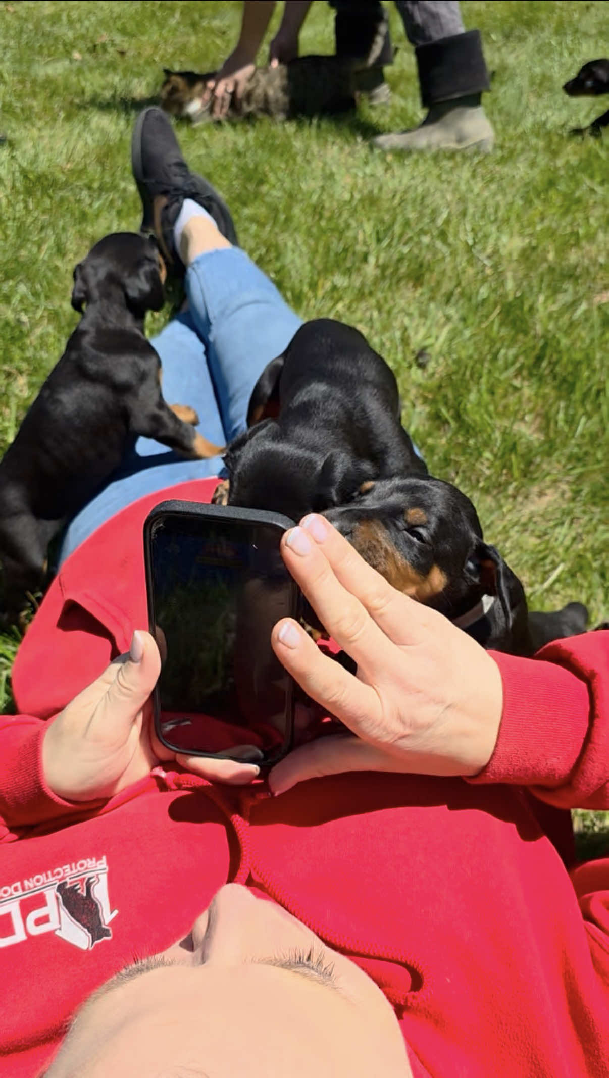 @Protection Dog Sales