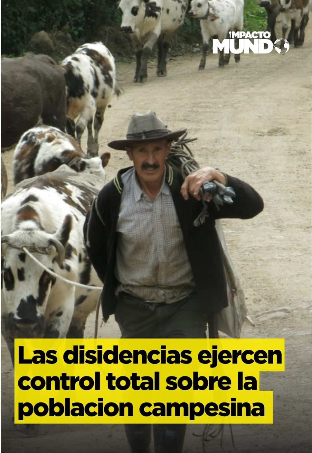@Impacto Mundo