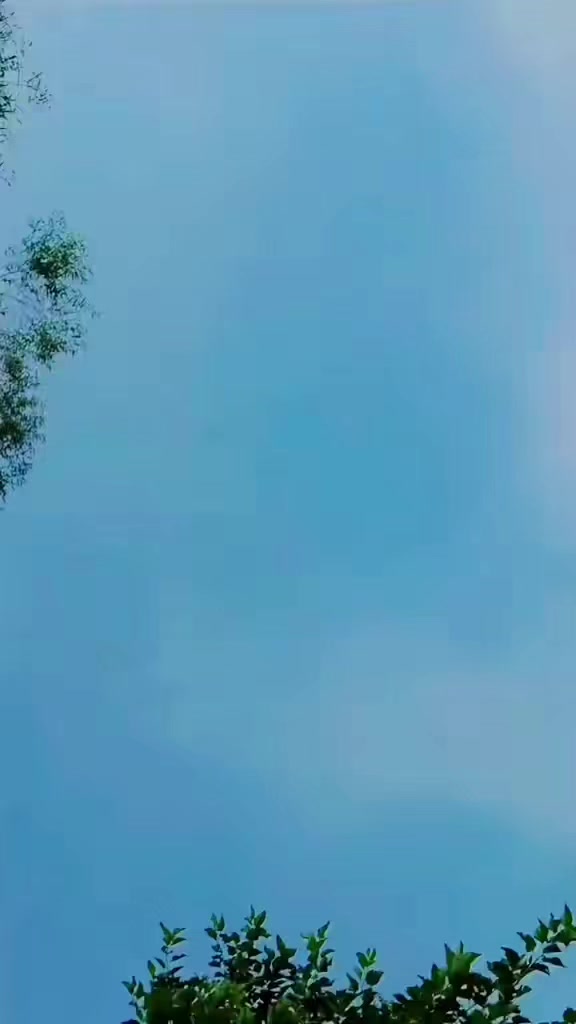 @Seema Kumari