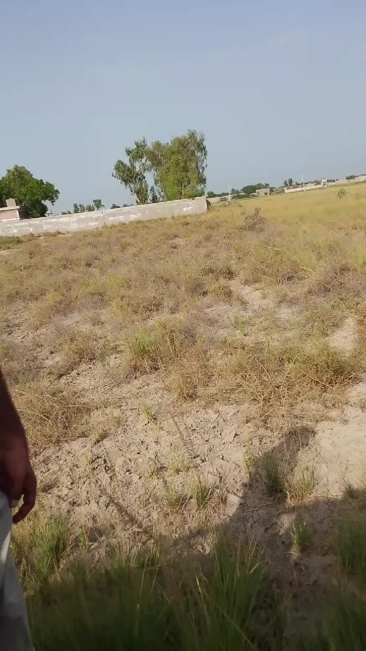 @𝑈̮̑𝑏̮̑𝑎̮̑𝑖̮̑𝑑̮̑ 𝐶̮̑heena