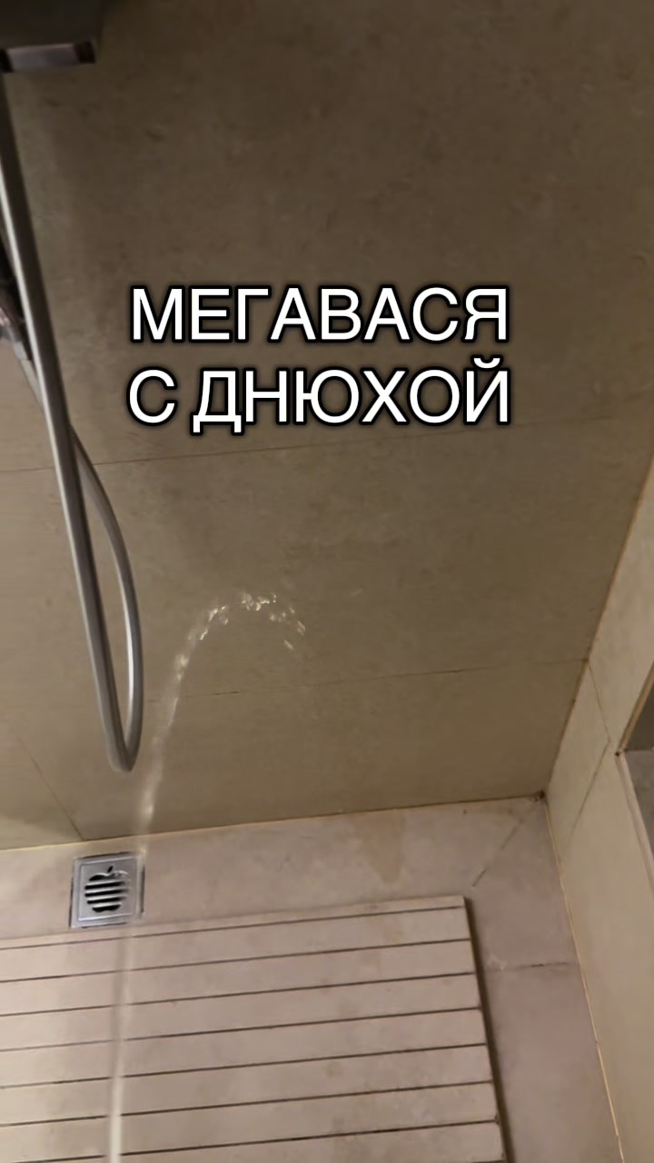 @projectmimo