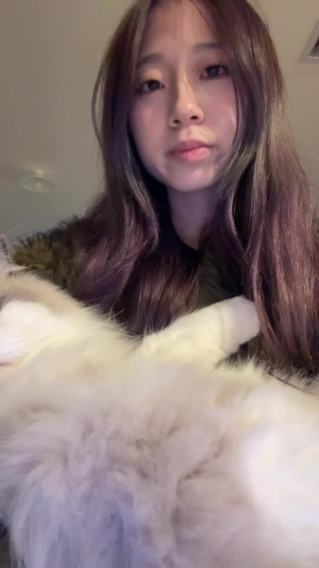 @mentaiikosushii