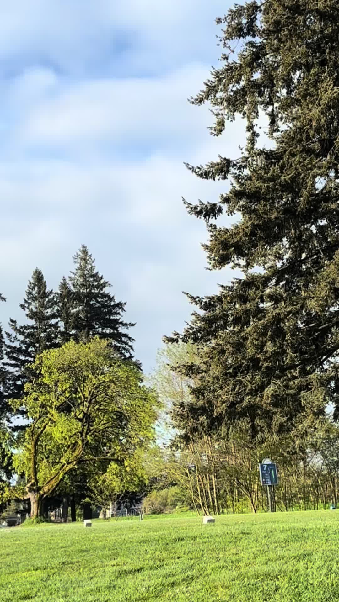 @ChasingAcesGolf