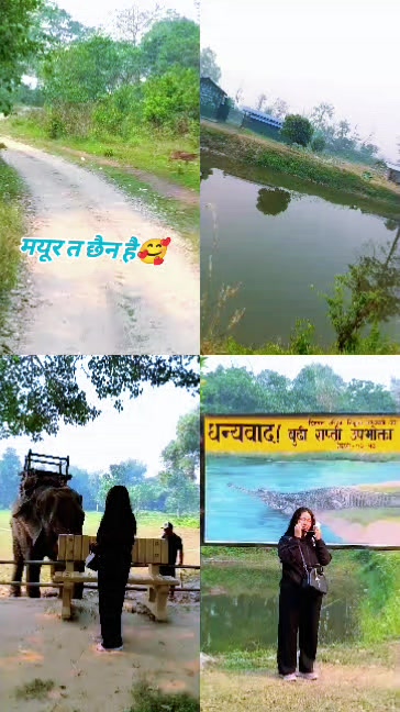 @शर्मिला शाही ठकुरी