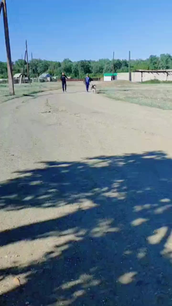 @мои года, мое богатство