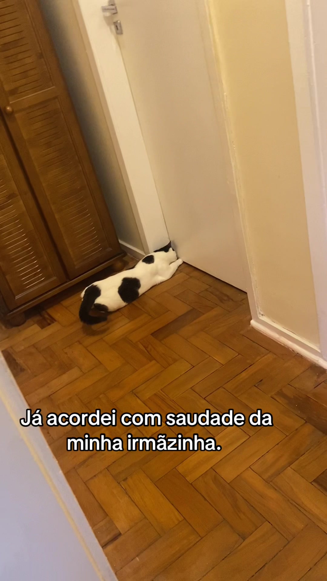 @Piticona