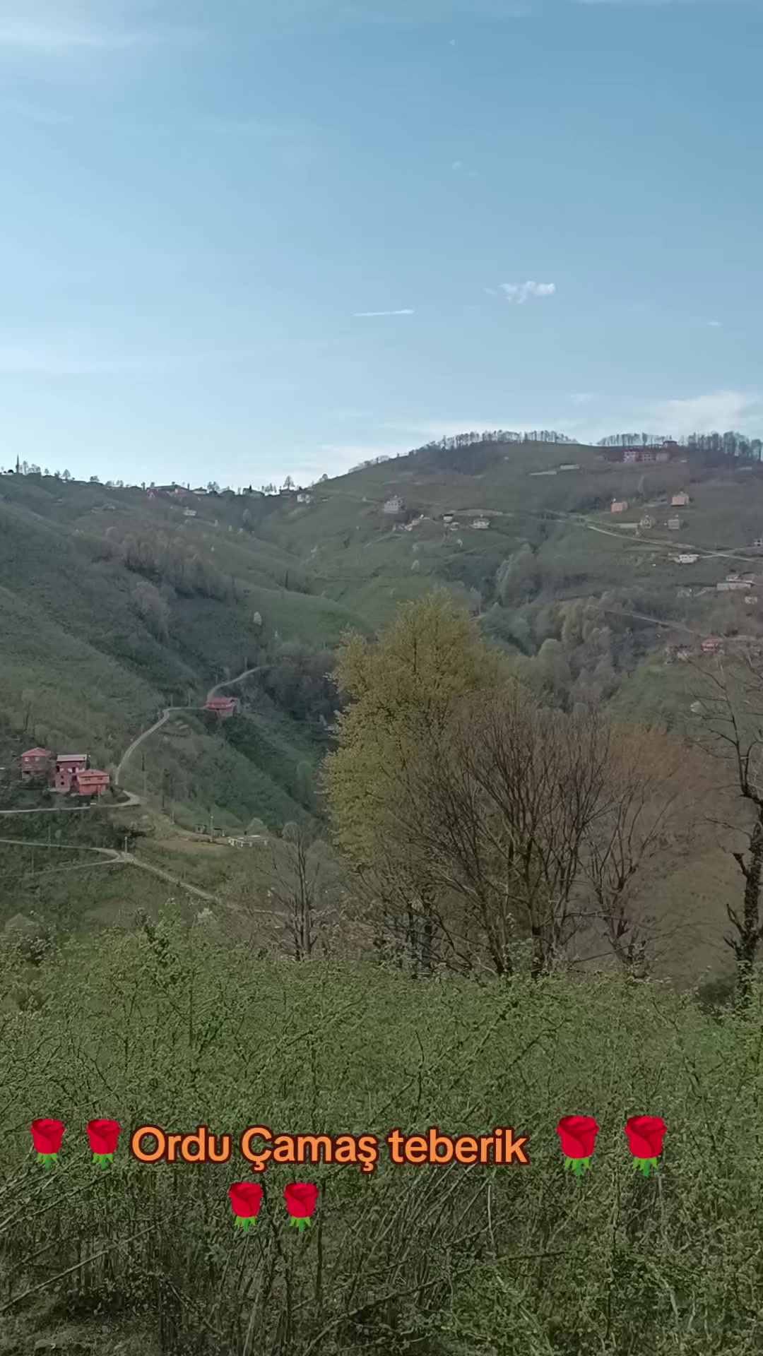 @Turan &Ouml;zkan