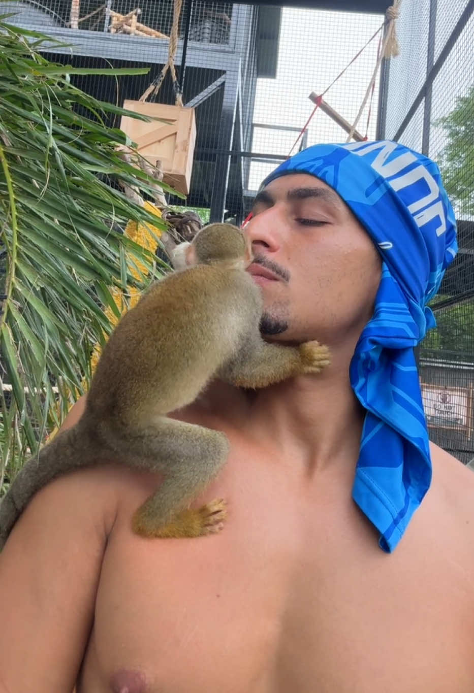 @Tarzane 🦍