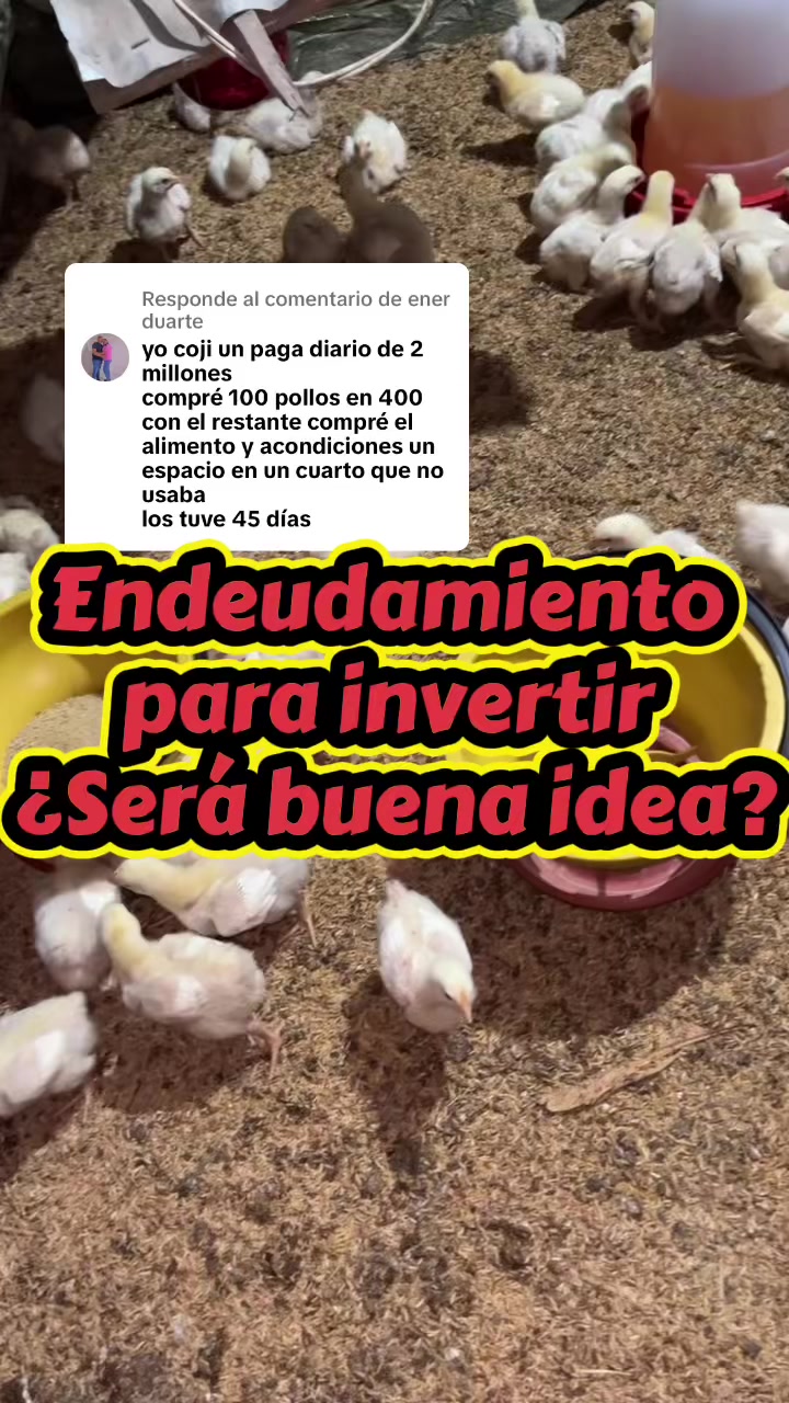 @elmagnatedelospollos