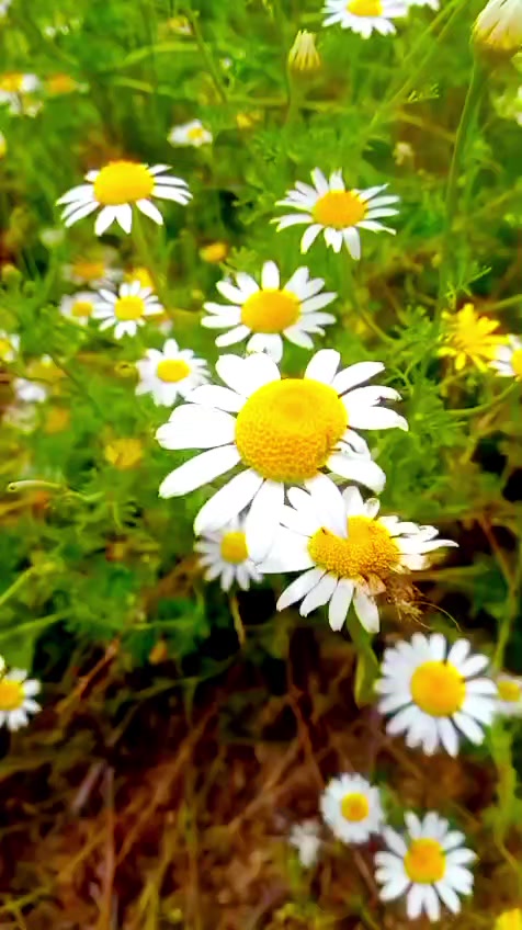 @Ebubekir adıyaman