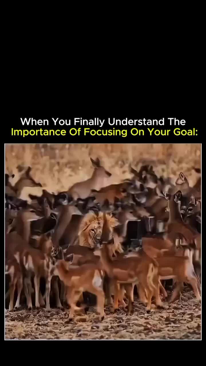 @Realitytalk