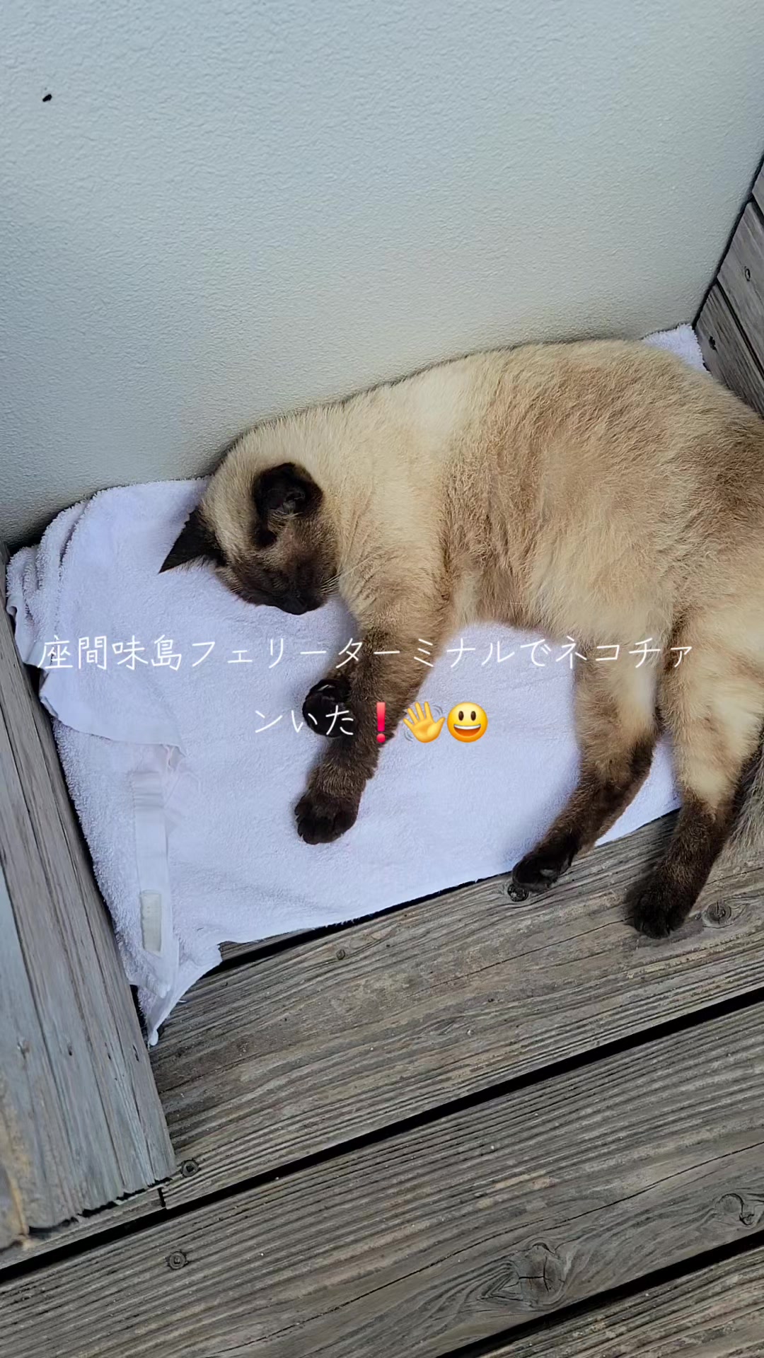 @dyortv78kl8e自由に明るくのびのびと