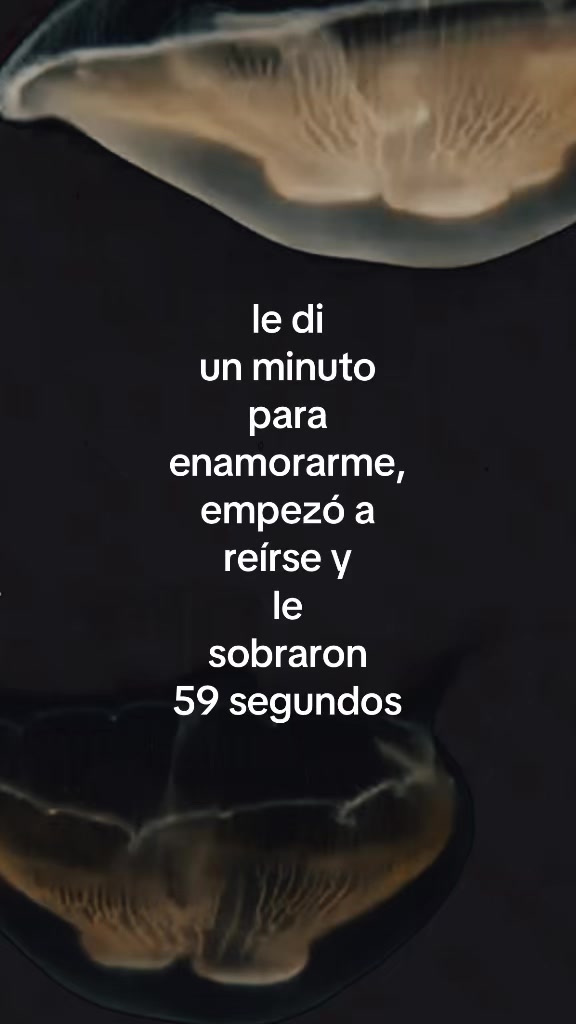 @Yeyey